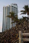 Click to see Y_DSC0012-24070mm-JGray.JPG