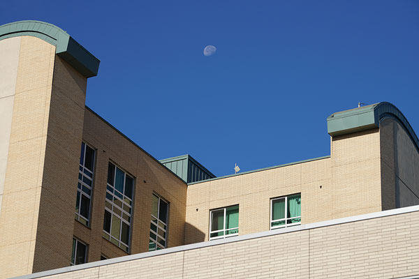 Sony A7R II review -- Sample photo