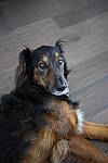 Click to see Y-35MM-DSC01581.JPG