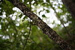 Click to see Y-35MM-DSC01677.JPG