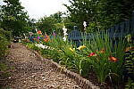 Click to see Y-35MM-DSC01736.JPG