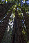Click to see Y-JS-24MM-DSC00049-EDITED.jpg