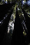 Click to see Y-JS-24MM-DSC00049.JPG