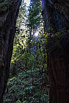 Click to see Y-JS-24MM-DSC00068-EDITED.jpg