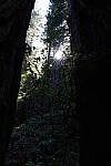 Click to see Y-JS-24MM-DSC00068.JPG
