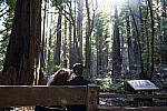 Click to see Y-JS-24MM-DSC00074-EDITED.jpg