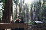 Click to see Y-JS-24MM-DSC00074.JPG