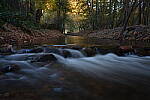 Click to see Y-JS-DSC02500.JPG