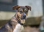 Click to see Y-70-180-2903-EDT.JPG