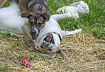 Click to see Y-70-180-2931-EDT.JPG