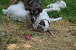 Click to see Y-70-180-2931.JPG