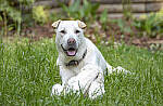 Click to see Y-70-180-2943-EDT.JPG