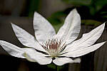 Click to see Y-70-180-2962-EDT.JPG
