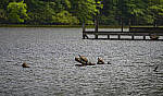Click to see Y-70-180-2995-EDT.JPG