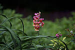 Click to see Y-70-180-3002-EDT.JPG