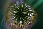 Click to see Y-70-180-3008.JPG