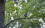 Click to see Y-70-180-3015-EDT.JPG