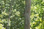 Click to see Y-70-180-3024-EDT.JPG
