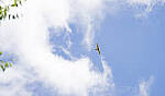 Click to see Y-70-180-3029-EDT.JPG