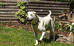 Click to see Y-70-180-3038-EDT.JPG