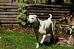 Click to see Y-70-180-3038.JPG