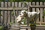 Click to see Y-70-180-3054-EDT.JPG