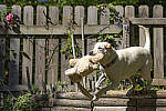Click to see Y-70-180-3055-EDT.JPG