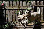 Click to see Y-70-180-3055.JPG