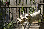 Click to see Y-70-180-3056-EDT.JPG