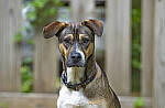 Click to see Y-70-180-3088-EDT.JPG