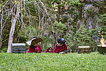 Click to see Y-70-180-3105-EDT.JPG