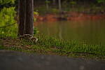 Click to see Y-70-180-3136.JPG