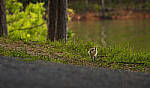 Click to see Y-70-180-3141-EDT.JPG