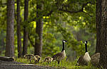 Click to see Y-70-180-3152-EDT.JPG