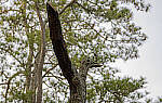 Click to see Y-70-180-3159-EDT.JPG