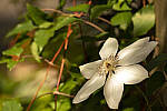 Click to see Y-70-180-3161-EDT.JPG