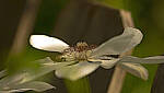 Click to see Y-70-180-3164-EDT.JPG