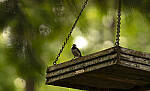 Click to see Y-70-180-3171-EDT.JPG