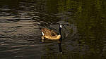 Click to see Y-70-180-3220-EDT.JPG