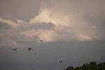 Click to see Y-70-180-3246.JPG
