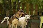 Click to see Y-70-180-3433-EDT.JPG
