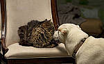 Click to see Y-70-180-3436-EDT.JPG