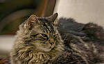 Click to see Y-70-180-3444-EDT.JPG