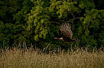 Click to see Y-70-180-3491-EDT.JPG