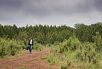 Click to see Y-70-180-3587-EDT.JPG
