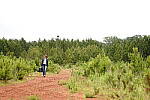 Click to see Y-70-180-3587.JPG
