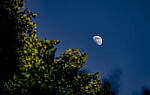 Click to see Y-70-180-3657-EDT.JPG