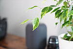 Click to see Y-JG-A7R-IV-24-70-GM-0654-SHARP-70MM-F2-8-CENTER-FOCUS.JPG