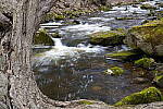 Click to see Y-JG-A7R-IV-24-70-GM-II-0112-FOR-STACK.JPG