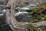 Click to see Y-JG-A7R-IV-24-70-GM-II-0114-FOR-STACK.JPG
